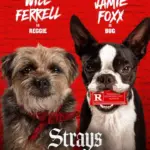 strays2023