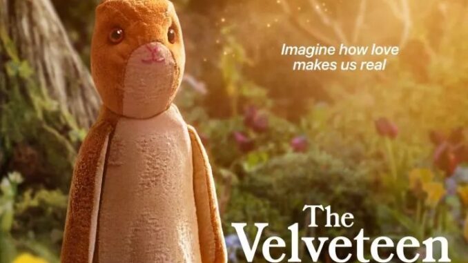 the-velveteen