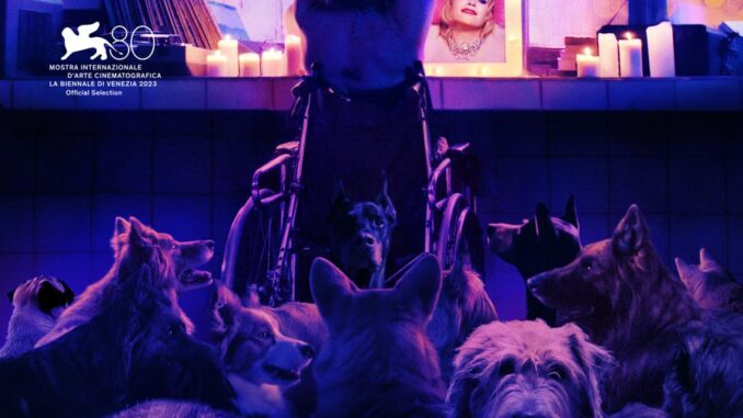 dog-man