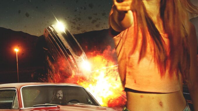 road-kill