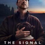 the-signal