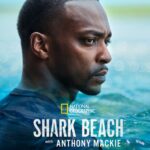 sharck-beach