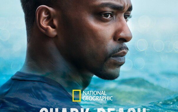 sharck-beach