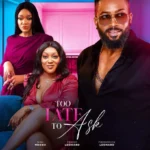 Too Late To Ask (2024)