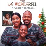 Not a Wonderful Year (2024)